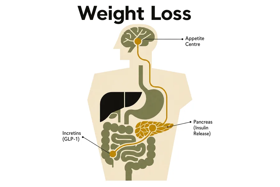 Buy Weight Loss Peptides